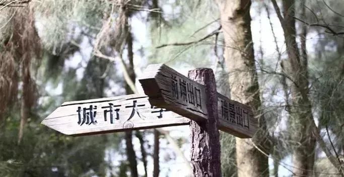 爬厦门仙灵旗,厦门周边登高望远的地方