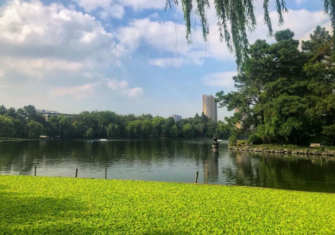 浙大金融培训心得,浙大互联网培训项目