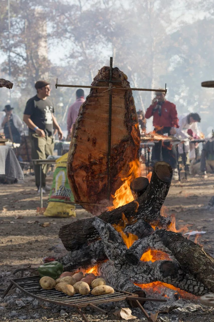 世界上只能吃素的国家,世界上唯一个不吃肉的国家