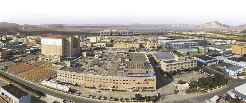 舟山最好吃的烤鱿鱼丝,烧烤鱿鱼虾脆卷零食加工厂