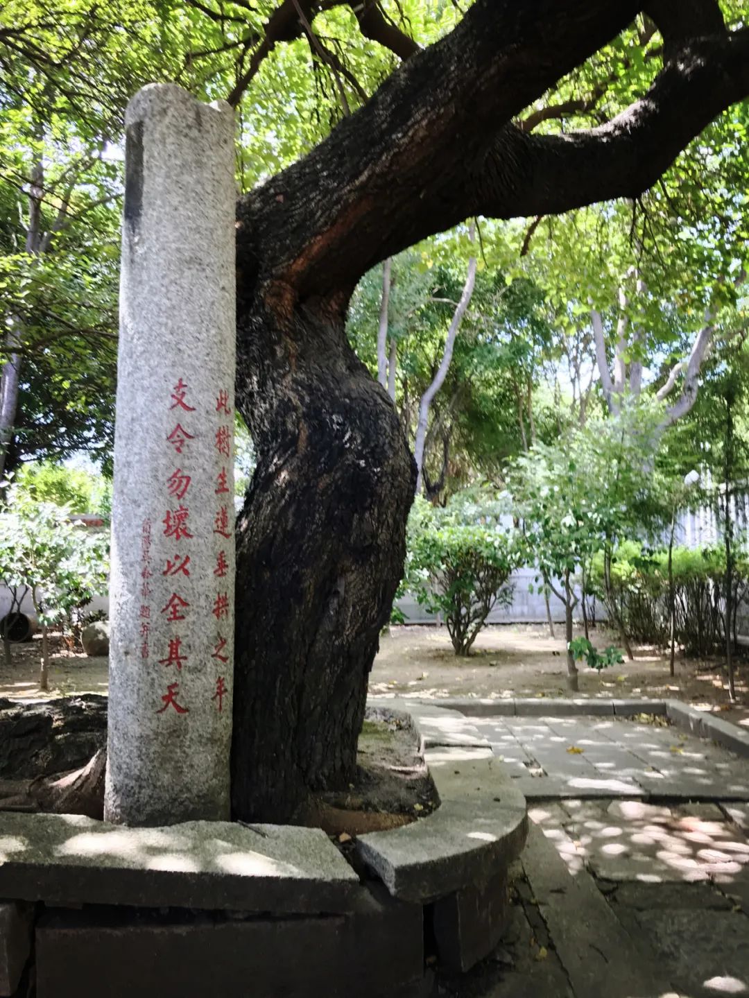 千米老街竟有16处宋元遗迹，上百条古巷飘香，这宝藏小城也太低调了「459集」