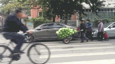 宇宙的尽头是美食,宇宙的尽头美食