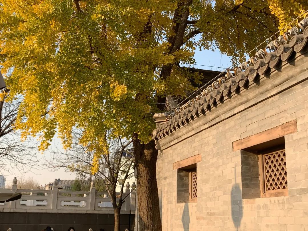 北京浪漫又好看的风景餐厅,北京适合夏天去的餐厅