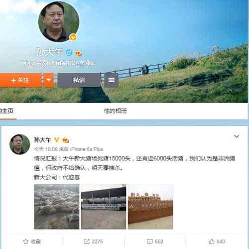 大午集团孙大午最新事件,河北大午集团孙大午最新消息