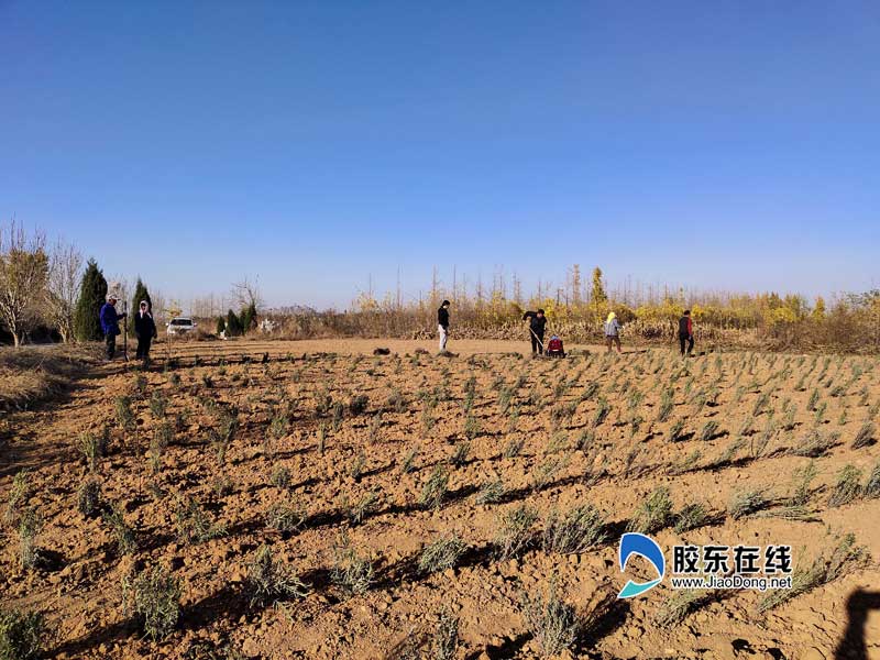 小草沟乡村旅游度假村,乡村旅游景点提质升级