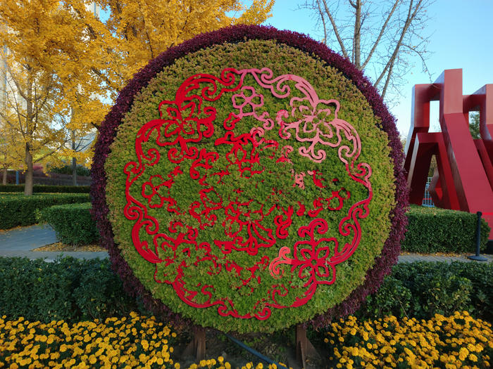 坚果r2是5g吗,坚果r2还值得买吗