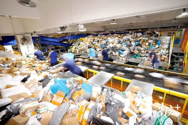 双十一堆成山的快递如何派件？东莞快递人这样做！