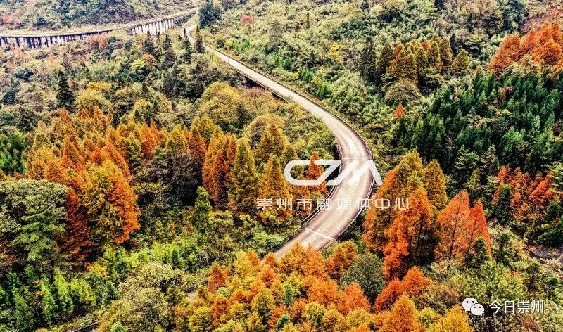 初秋彩林成都周边秘境,成都附近彩林秘境