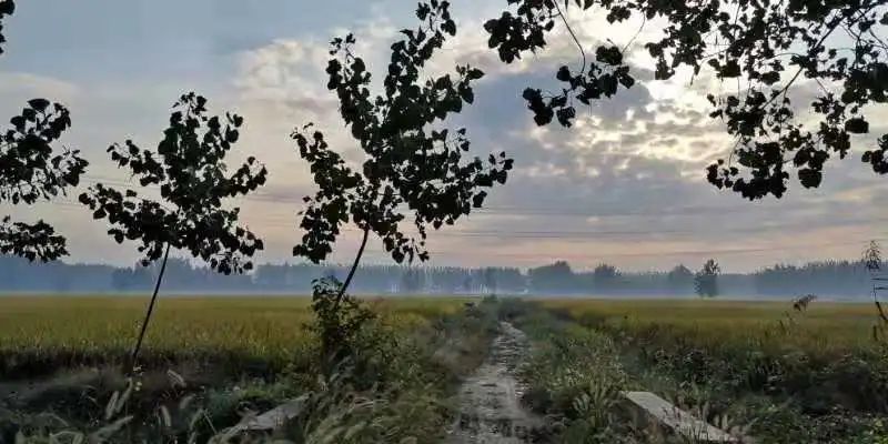 到片场去，从矿区、*子烟电**、TVB和甜宠剧开始