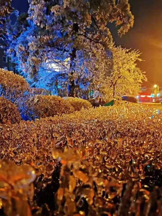 延边开启滑雪季快来嗨翻冬天,雪雪来了