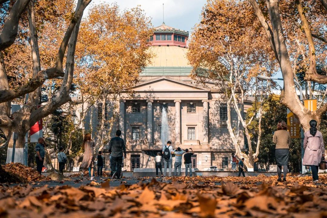 刚刚！东大学子又在这一顶级赛事中创佳绩！