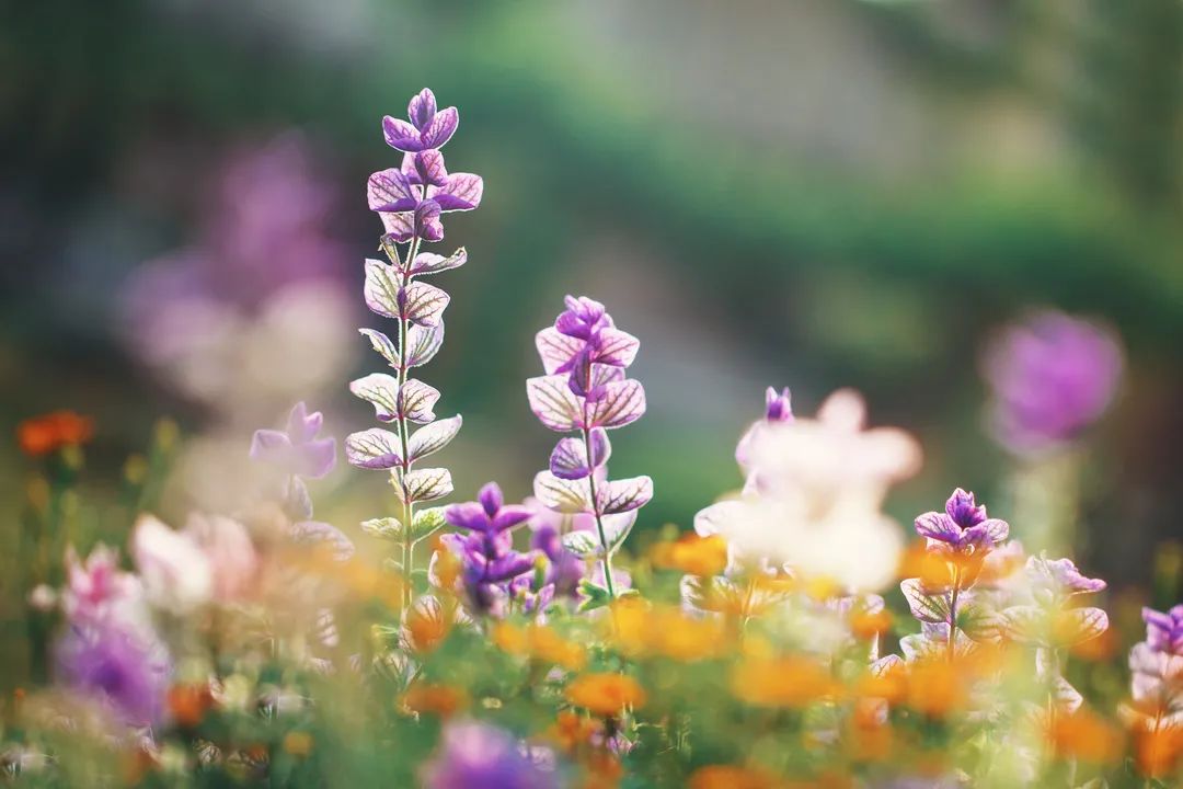职场高手如何做到高情商,职场上高情商人说话