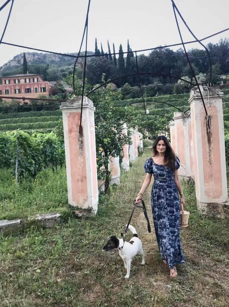 养十几只狗狗博主,网红养小土狗日常