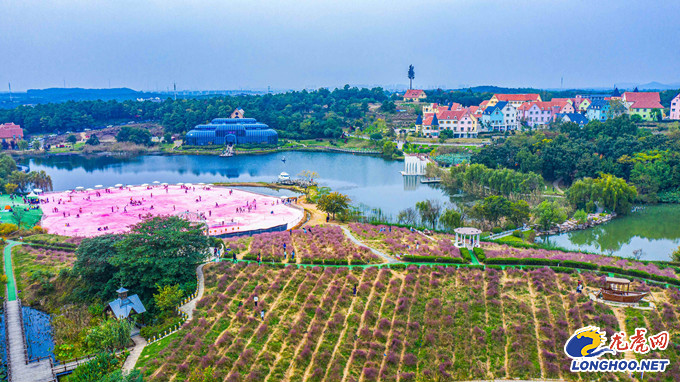 回望“十三五”谷里街道砥砺奋进交上幸福答卷