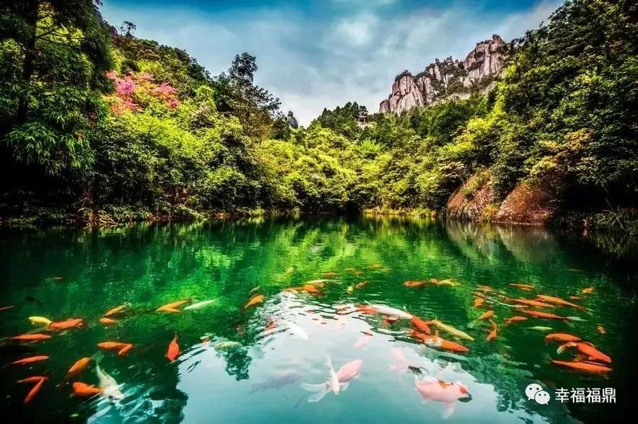 看完这篇文章你会惊叹古人的智慧,看完这篇文章你还敢喝低度酒吗