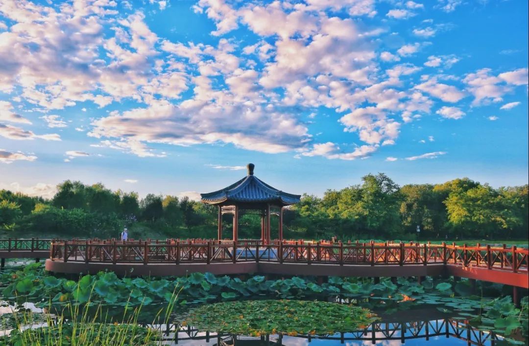 漫谈相对论合集,圆明园圆明时光