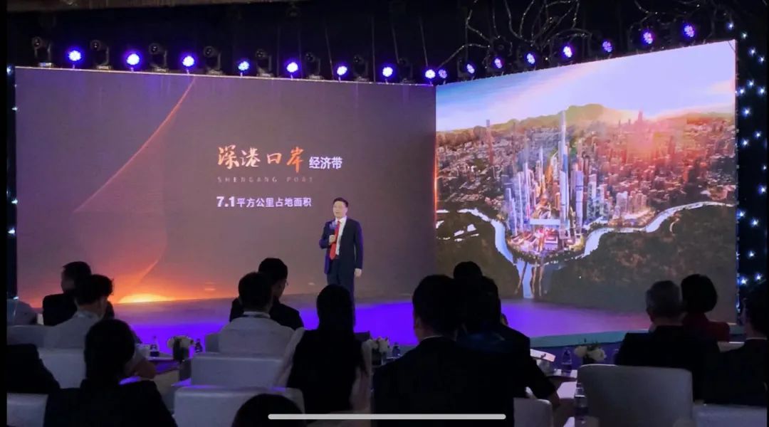 罗湖未来最值得投资的区域,深圳罗湖板块未来发展如何