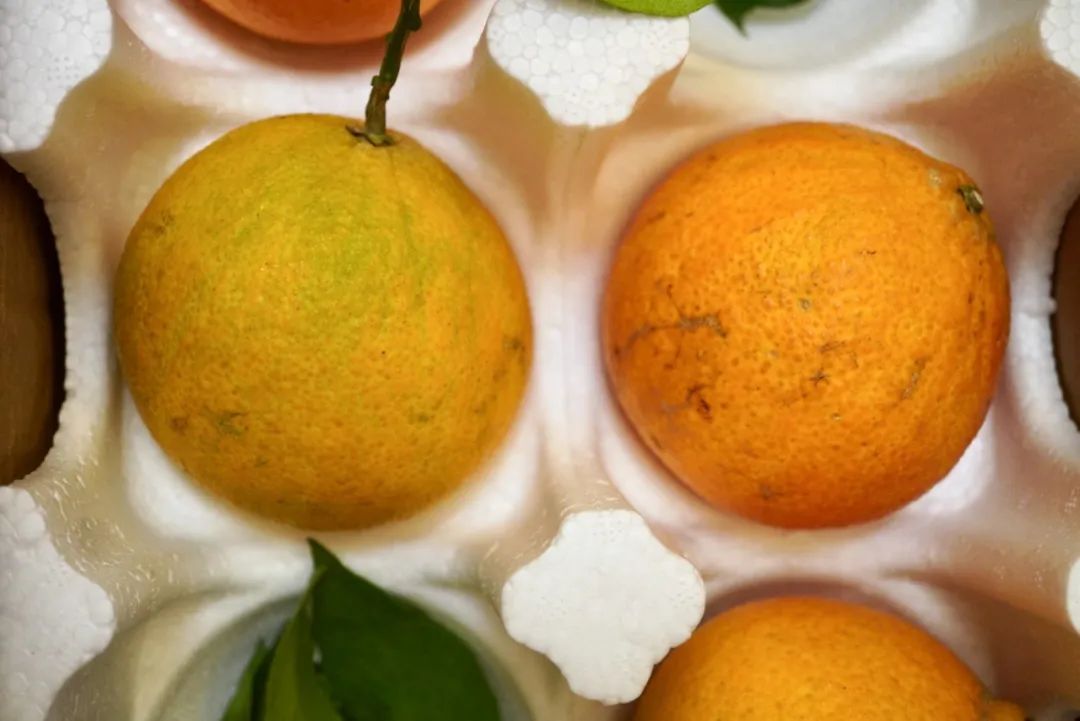 这世界上真有在拼夕夕购物而不翻车的人吗？