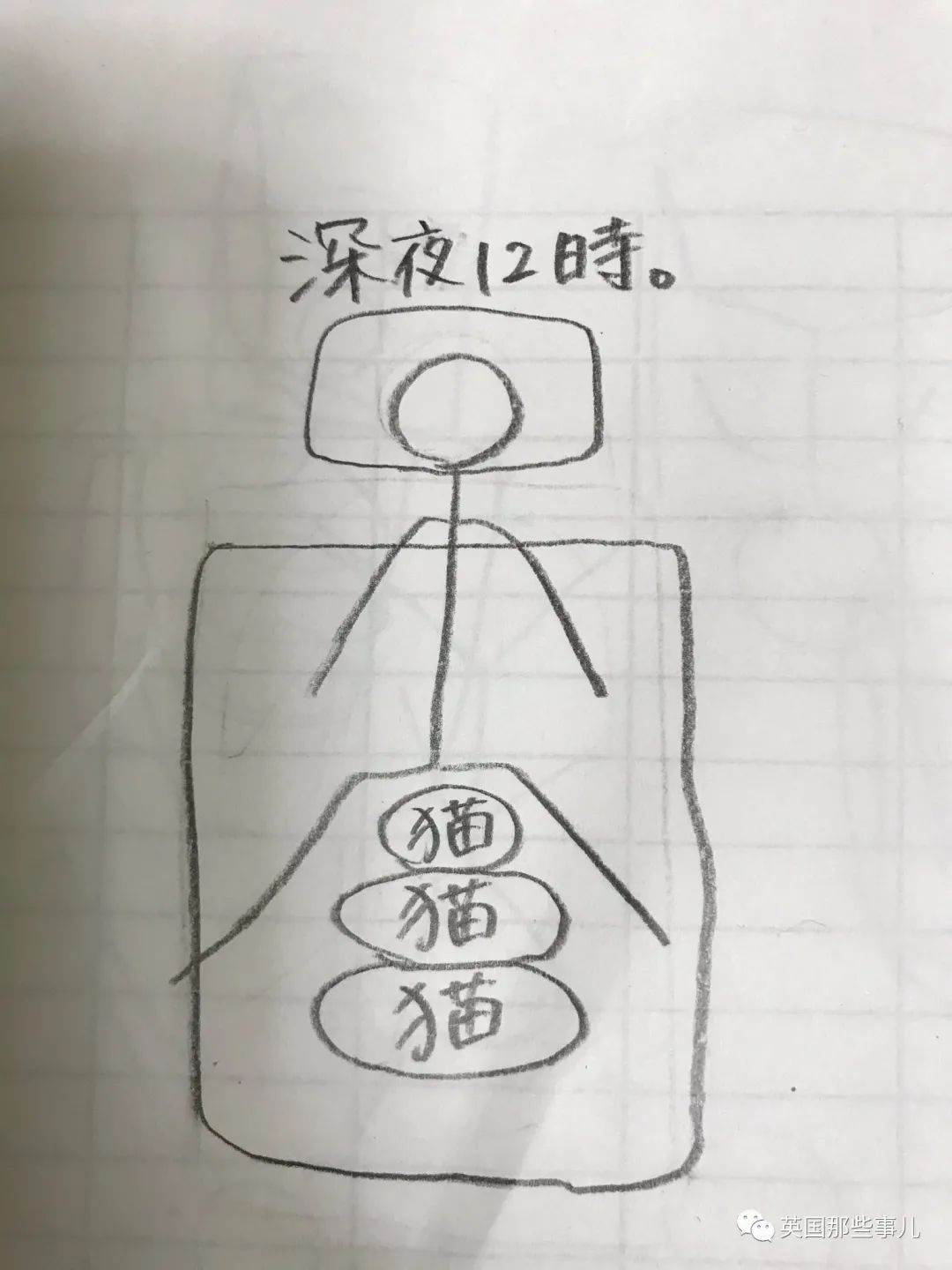 多猫家庭猫咪也会尿闭吗,多猫家庭为什么不能洗澡