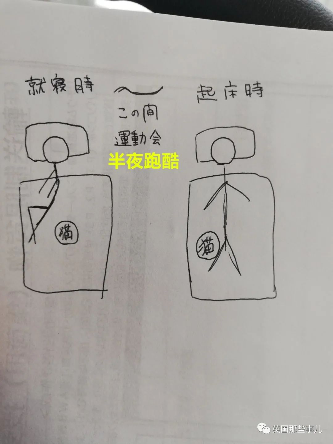 多猫家庭猫咪也会尿闭吗,多猫家庭为什么不能洗澡