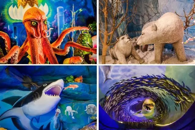 读万卷书行万里路畅游书海,读万卷书行万里路研学视频