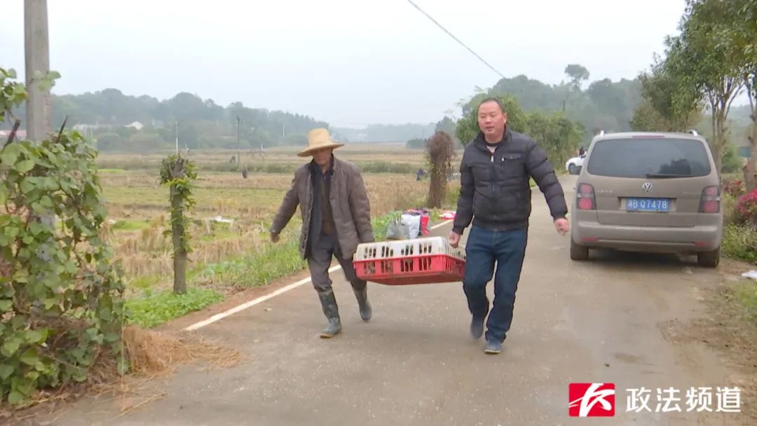 湖南买鸭,长沙买鸭