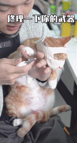 荨麻疹痒得要死,孩子荨麻疹痒死了怎么办