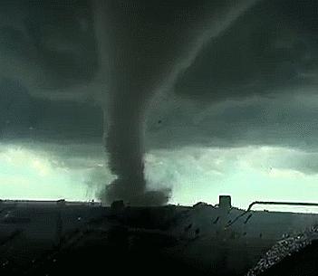 林子大了什么鸟都有下一句,林子大了啥鸟都有歌曲