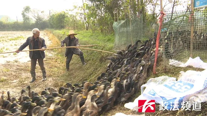 转发直购购买流程,转发产品怎么点购买链接