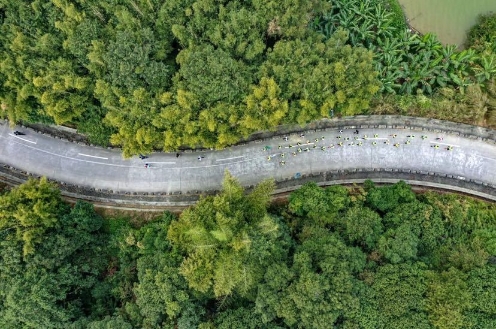 白云区马拉松比赛视频,畅跑长跑