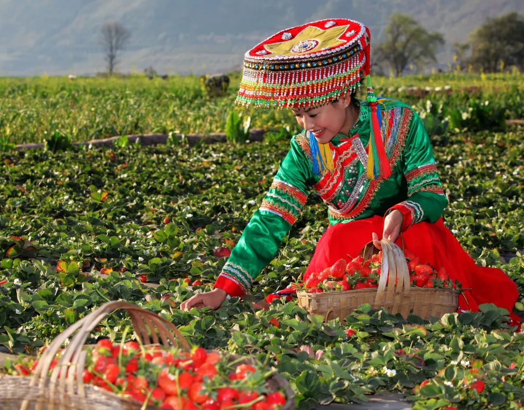 冬天感受阳光的味道,冬天到凉山