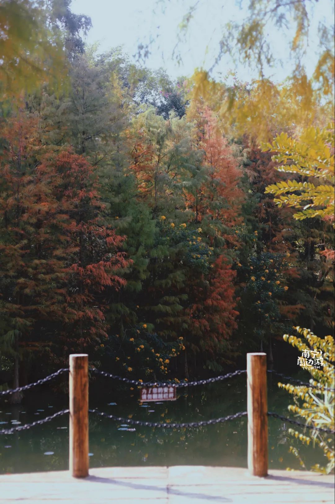 南宁适合一日游攻略,南宁免费玩的地方