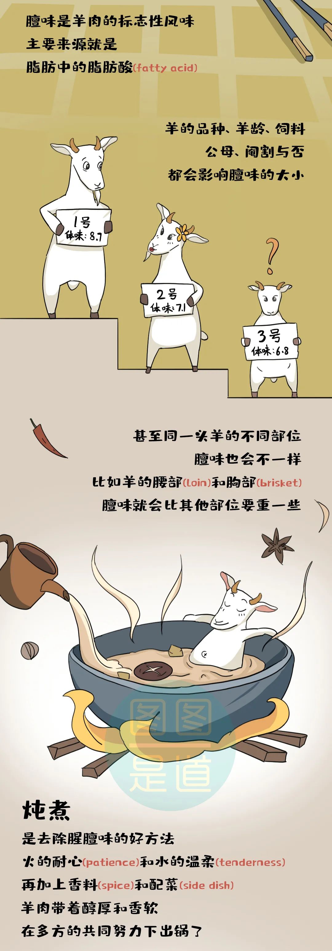 咩咩咩羊肉串,咩咩咩什么含义