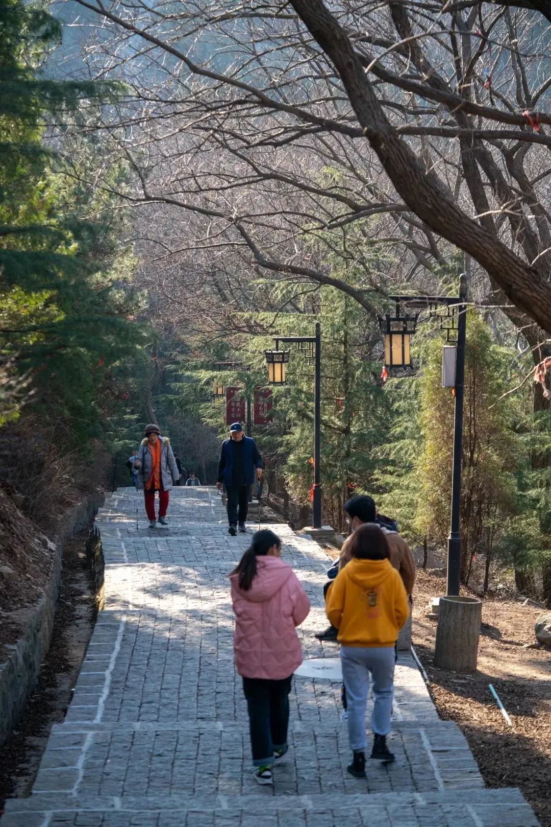 嗨游青岛悦享冬季蓝海,青岛嗨玩攻略