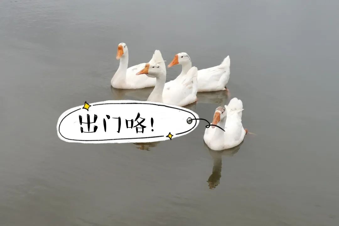 江西科技师范大学理工学院怎样,江西科技师范大学理工学院