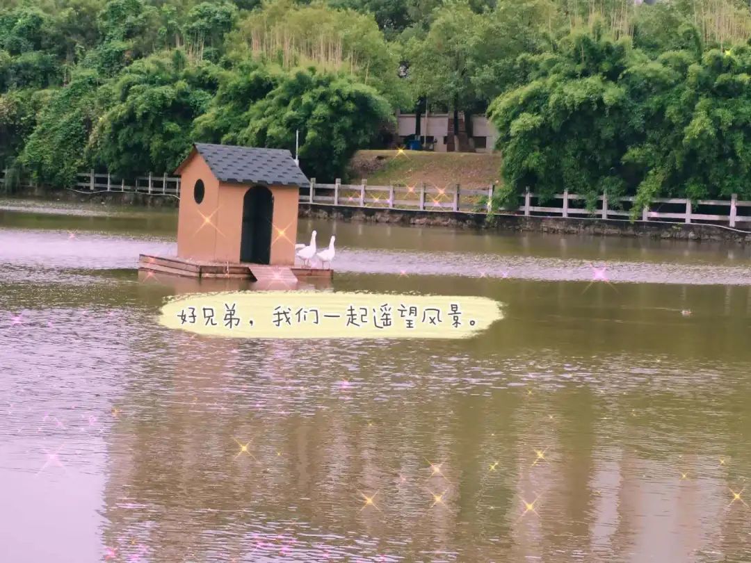 江西科技师范大学理工学院怎样,江西科技师范大学理工学院