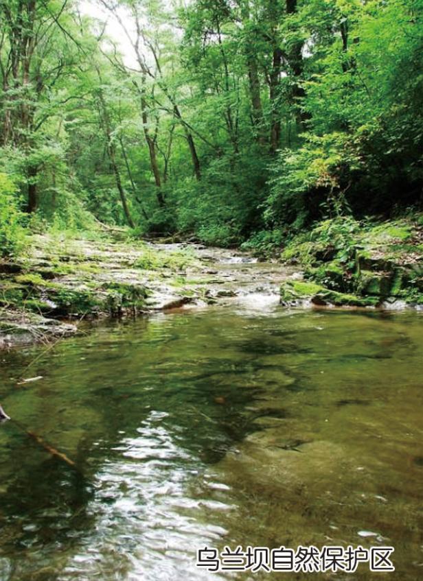 投资巴林,投资热土创业项目