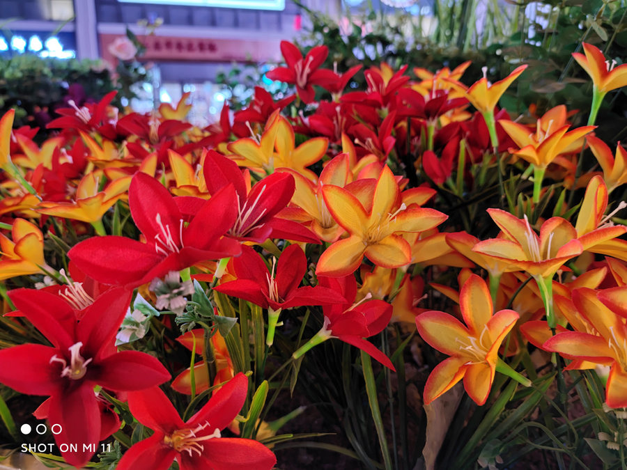 小米11评测视频最新,小米11测评最新的