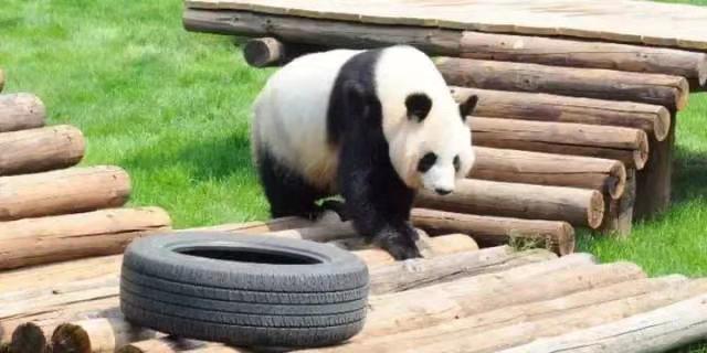 元旦小长假鞍山本地景区欢乐多