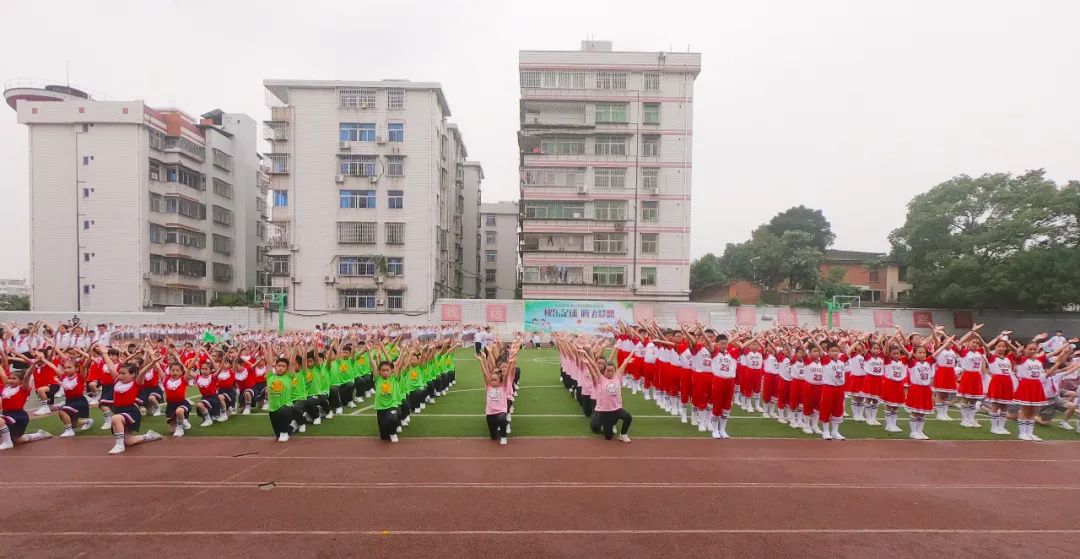 红领行动学校党建品牌创建方案,红领行动