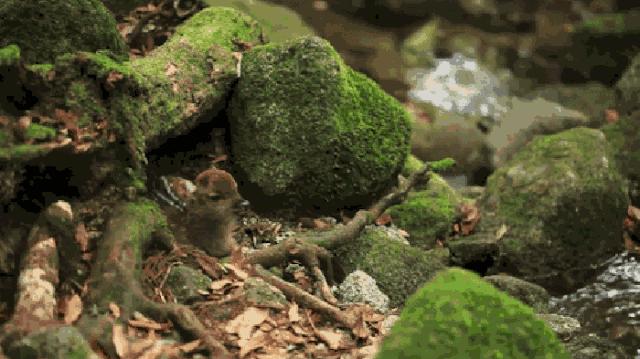 南京温泉度假排行榜,南京汤山温泉度假村哪个最好