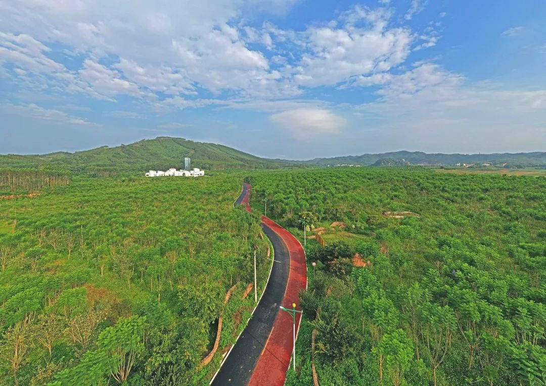 广西南宁青秀区风景区,南宁青秀区景区推荐