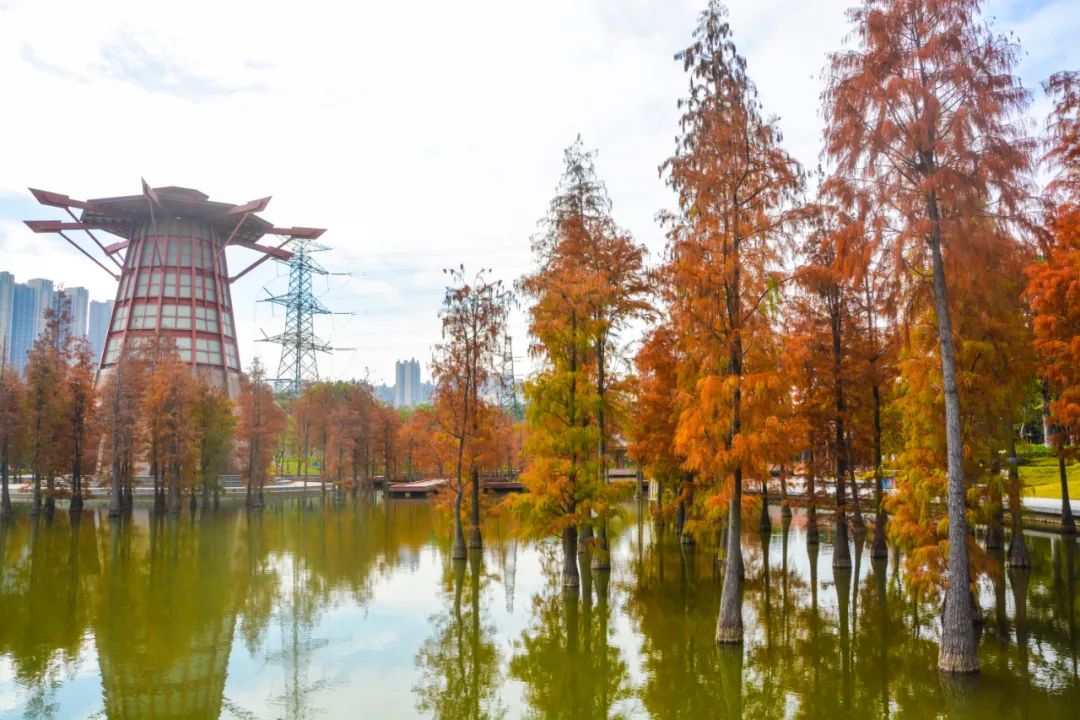 1月最美的佛山藏在这里！全部免费赏！
