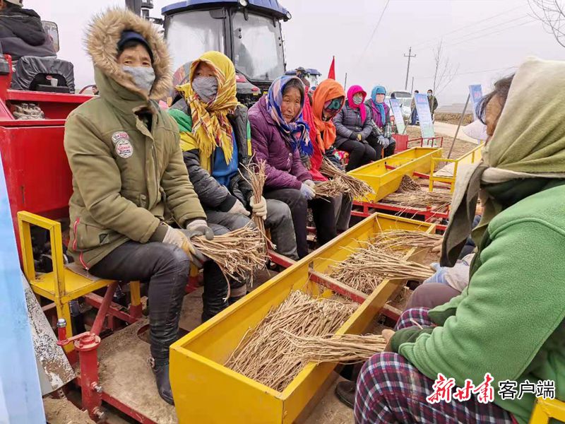 加快推进农业机械化转型升级,农业机械化助力乡村产业振兴