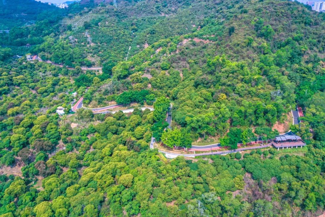 深圳值得打卡拍照的地方10月份,深圳绝美打卡地三月份