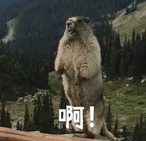 升温雨回南天广东,广东冷空气南下未来三天清凉干燥