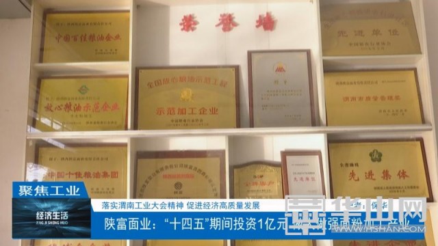 陕富面业发展前景,陕富面业现状如何