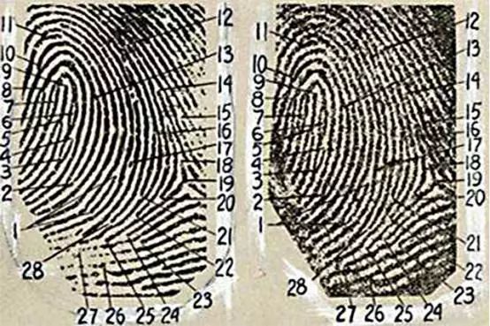 没有指纹的人,没有指纹的人能找到吗