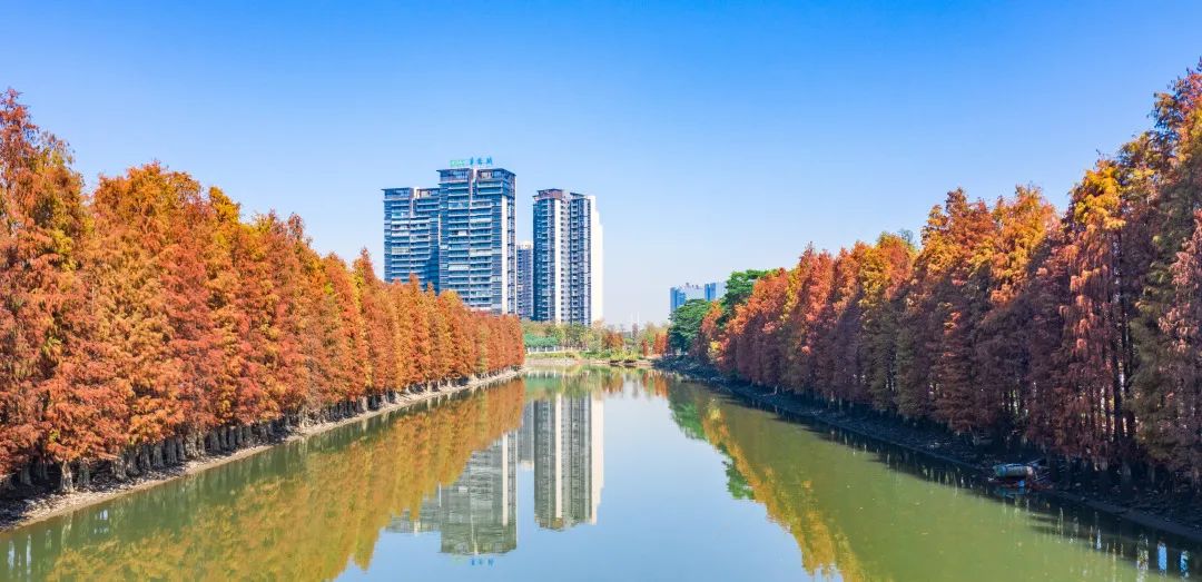 1月最美的佛山藏在这里！全部免费赏！