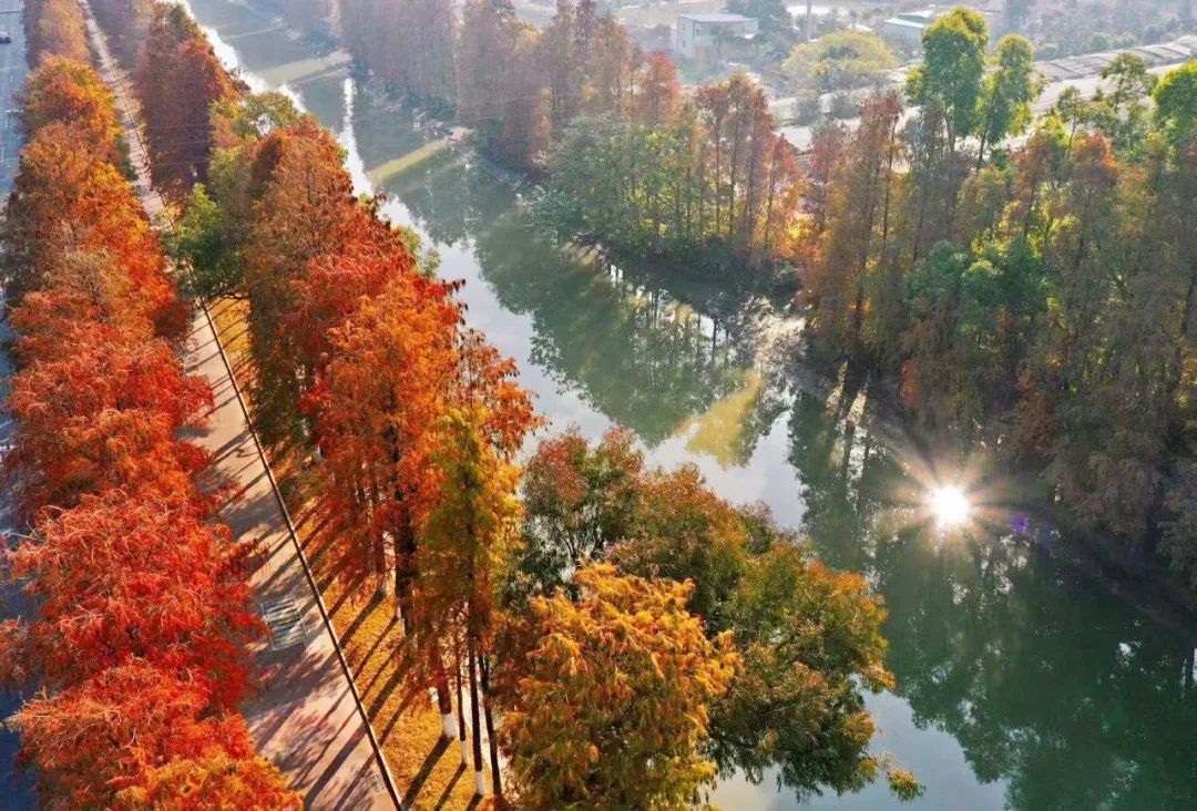 1月最美的佛山藏在这里!全部免费赏!